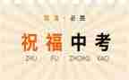 中考作文模板5篇