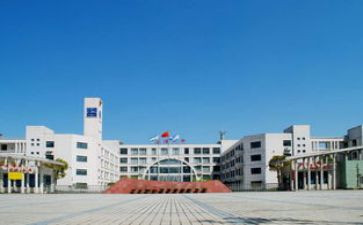 2024年中心校工作总结优秀5篇