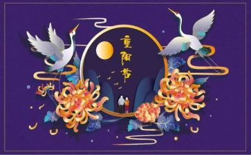 2024重阳节活动总结推荐7篇