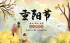 重阳节尊老活动总结8篇
