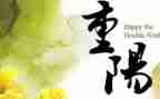社区搞重阳节活动总结6篇