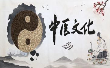 中医工作总结通用6篇