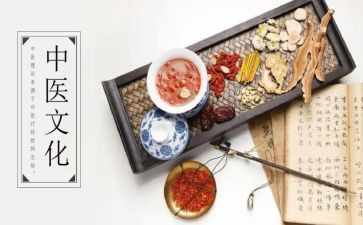 中医医师年度总结5篇