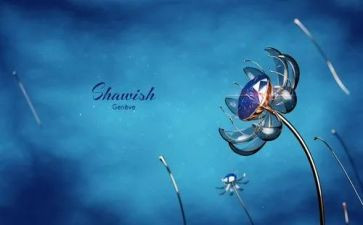 6.1珠宝店活动方案模板7篇