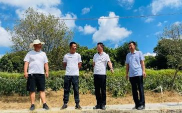 2023年驻村扶贫工作总结8篇