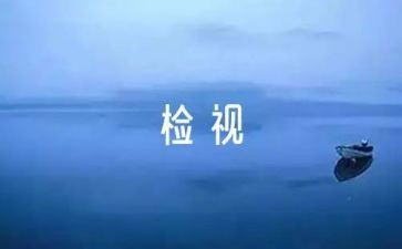 教师个人自检自查报告范文7篇