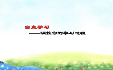 幼儿自主活动方案5篇