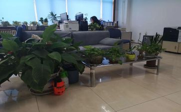 公司综合部述职报告5篇