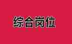 综合岗工作总结6篇