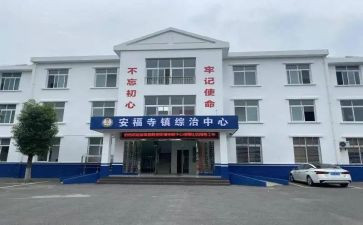 镇书记综治述职报告6篇
