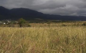 房屋合同租赁模板优秀5篇