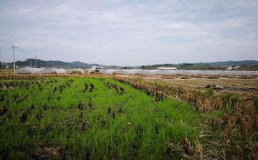 房屋租赁房屋合同模板精选5篇