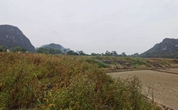 机械租赁合同8篇