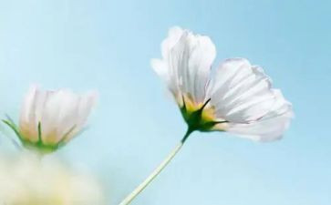 读后感做最好自己读后感最新7篇